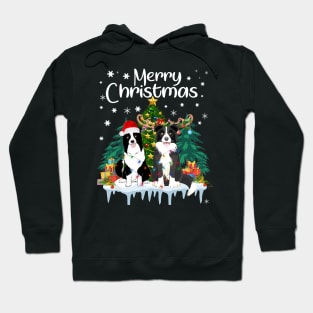 Border Collie Christmas Lights Funny Dog Matching Family Hoodie